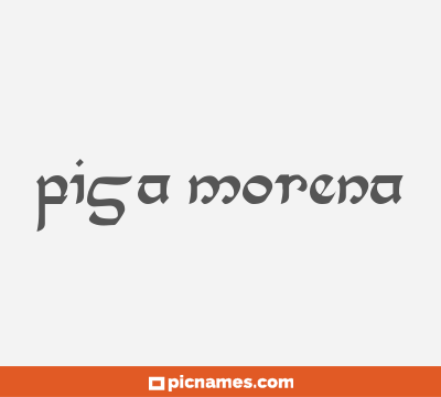 Pisa morena